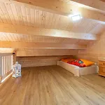 Toni Mit Sauna By Interhome 斯皮格劳